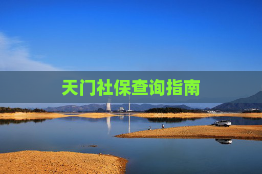 天门社保查询指南