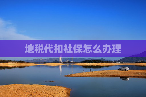 地税代扣社保怎么办理
