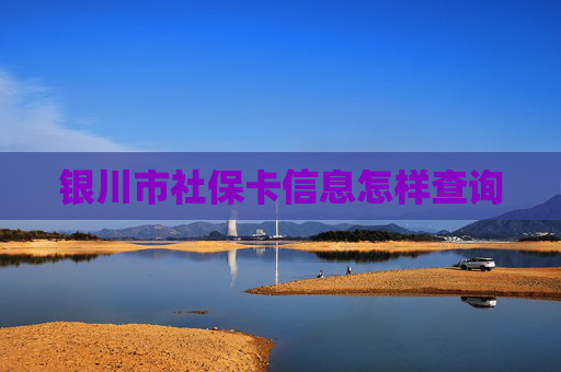 银川市社保卡信息怎样查询