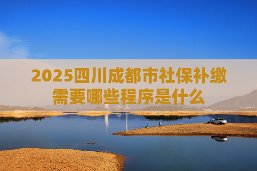 2025四川成都市社保补缴需要哪些程序是什么