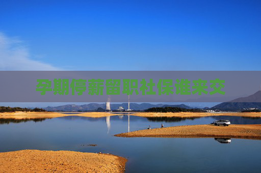 孕期停薪留职社保谁来交
