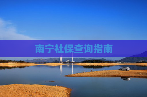 南宁社保查询指南
