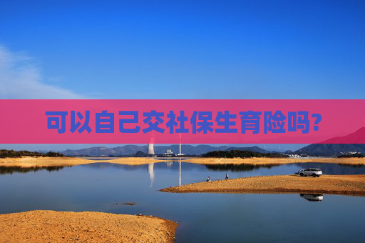 可以自己交社保生育险吗?