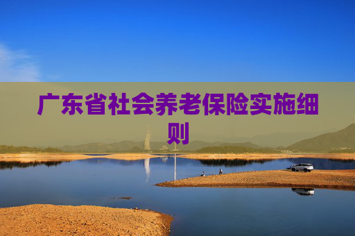 广东省社会养老保险实施细则