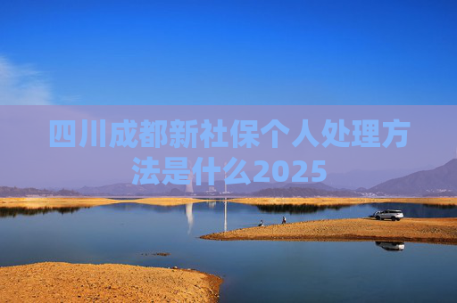 四川成都新社保个人处理方法是什么2025