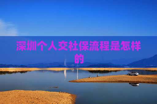 深圳个人交社保流程是怎样的