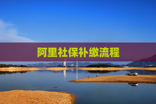阿里社保补缴流程