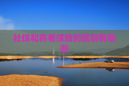 社保和养老保险的区别有哪些