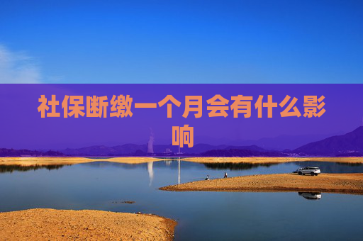 社保断缴一个月会有什么影响