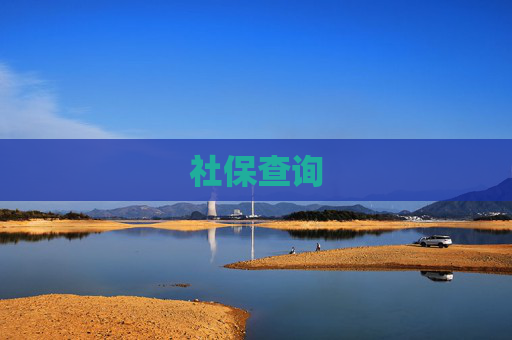 社保查询