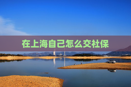 在上海自己怎么交社保
