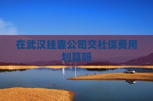 在武汉挂靠公司交社保费用划算吗