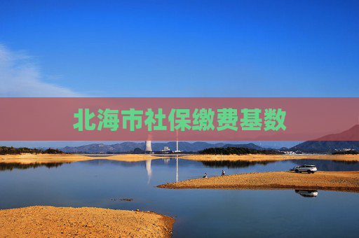 北海市社保缴费基数