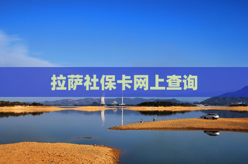 拉萨社保卡网上查询