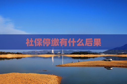社保停缴有什么后果