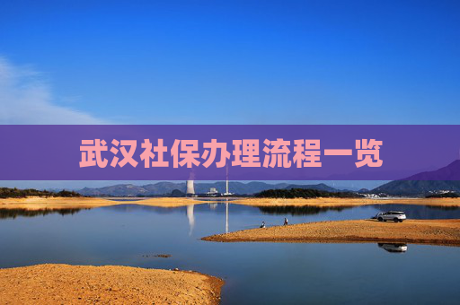 武汉社保办理流程一览