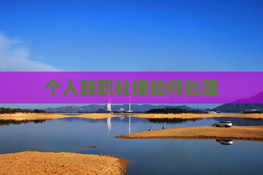 个人辞职社保如何处理