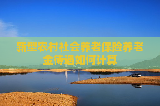 新型农村社会养老保险养老金待遇如何计算