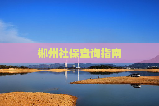郴州社保查询指南