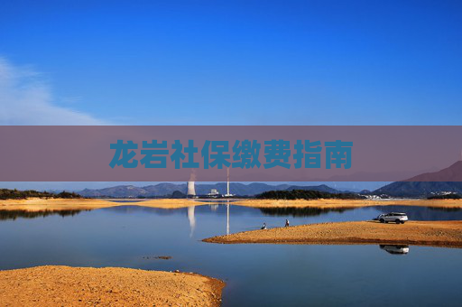 龙岩社保缴费指南