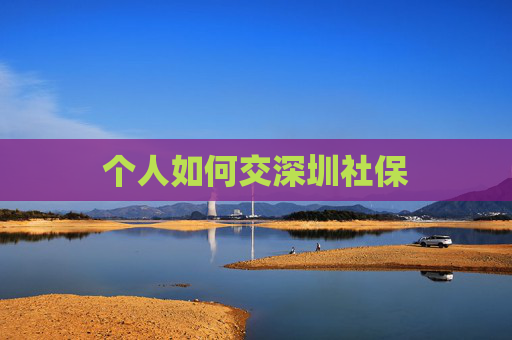 个人如何交深圳社保