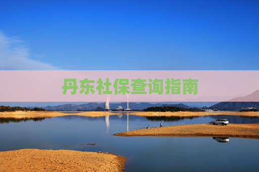 丹东社保查询指南