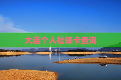 大连个人社保卡查询