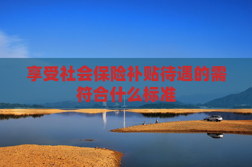 享受社会保险补贴待遇的需符合什么标准