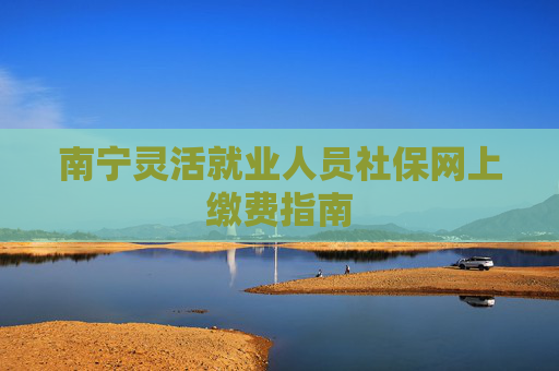 南宁灵活就业人员社保网上缴费指南