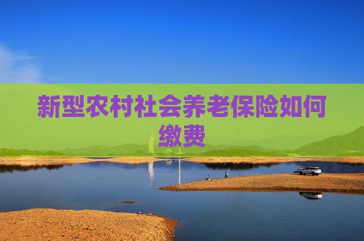 新型农村社会养老保险如何缴费