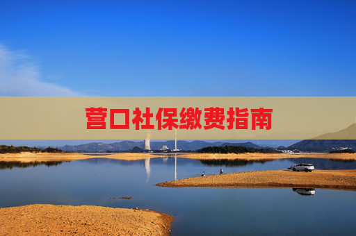 营口社保缴费指南