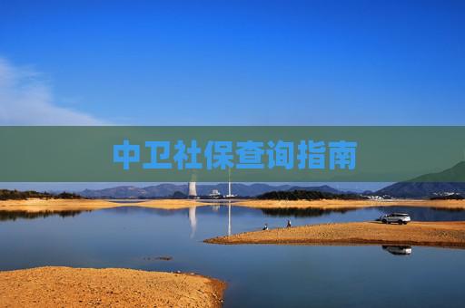 中卫社保查询指南