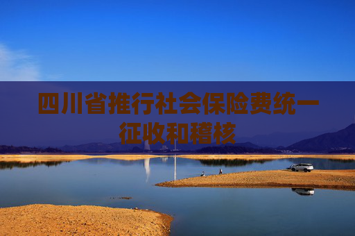 四川省推行社会保险费统一征收和稽核