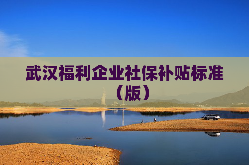 武汉福利企业社保补贴标准（版）