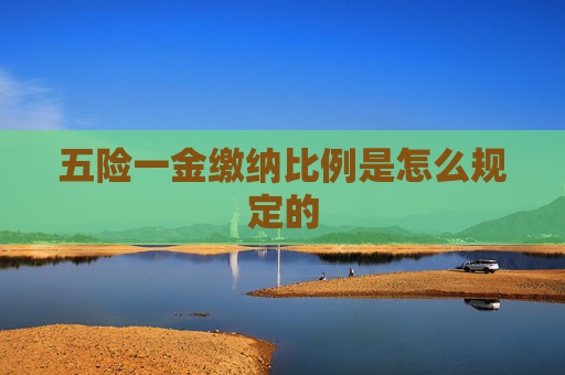 五险一金缴纳比例是怎么规定的