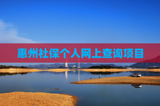 惠州社保个人网上查询项目