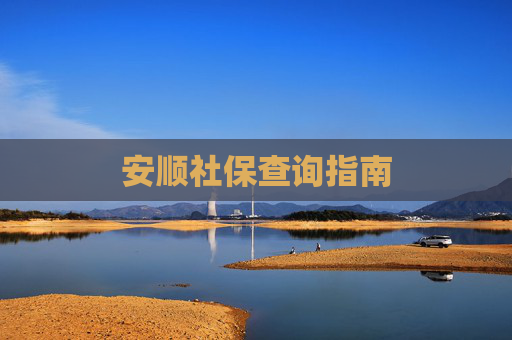 安顺社保查询指南