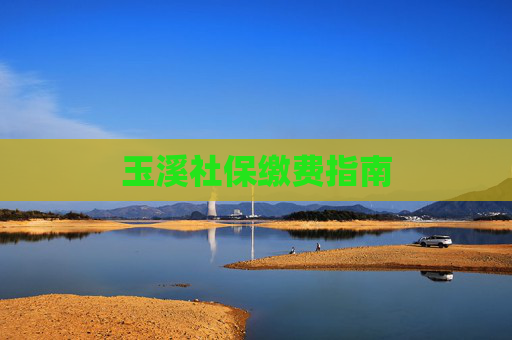 玉溪社保缴费指南