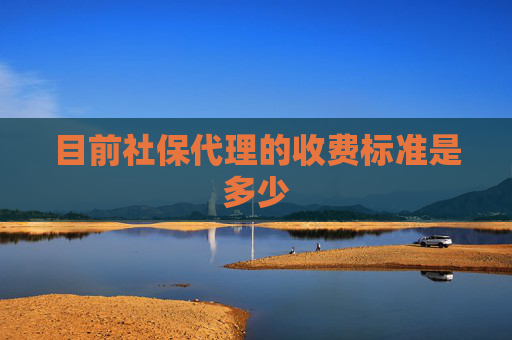 目前社保代理的收费标准是多少
