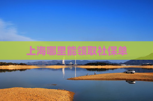 上海哪里能领取社保单