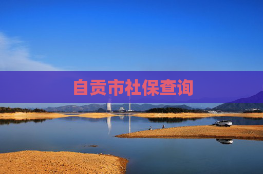 自贡市社保查询