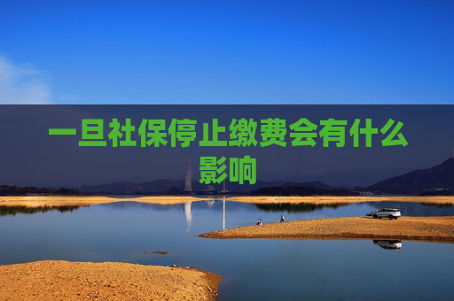 一旦社保停止缴费会有什么影响