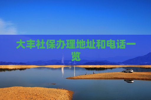 大丰社保办理地址和电话一览