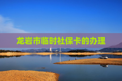 龙岩市临时社保卡的办理