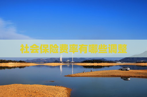 社会保险费率有哪些调整