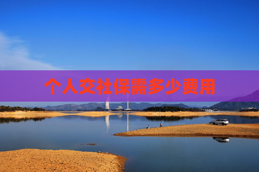 个人交社保需多少费用