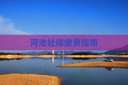 河池社保缴费指南