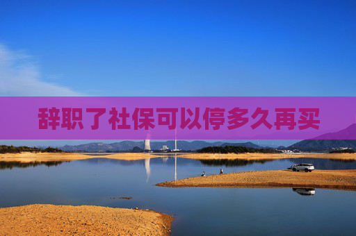 辞职了社保可以停多久再买