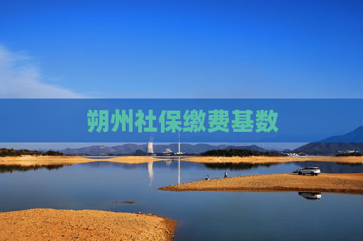 朔州社保缴费基数