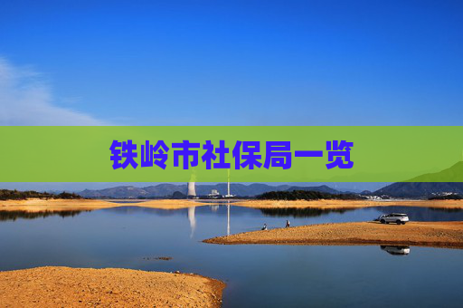 铁岭市社保局一览
